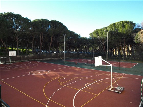 Sports tracks