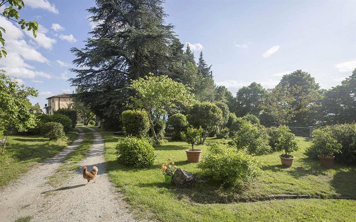 Jardin
