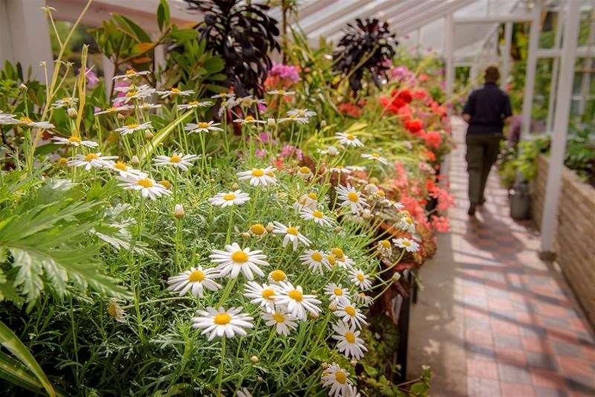 Walmer Castle & Gardens