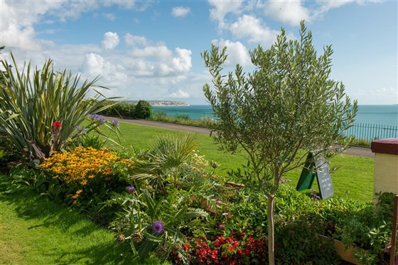 View from our Garden