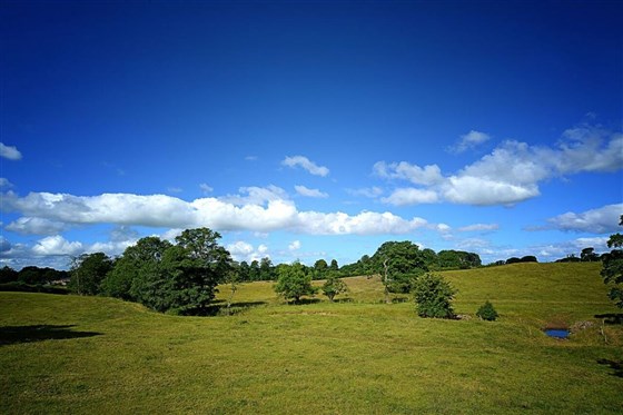 The Bay Horse Inn