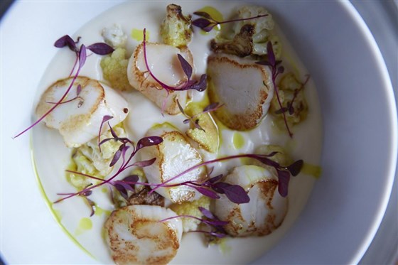 Scallops