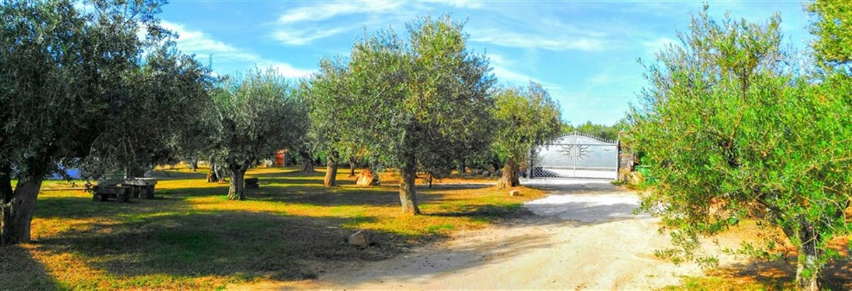 giardino