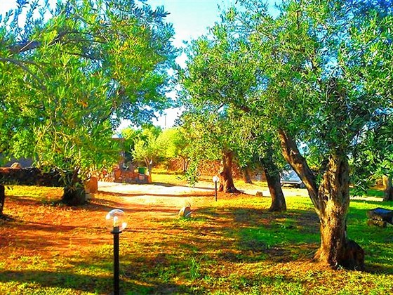 giardino