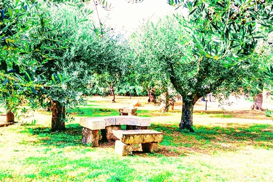 giardino
