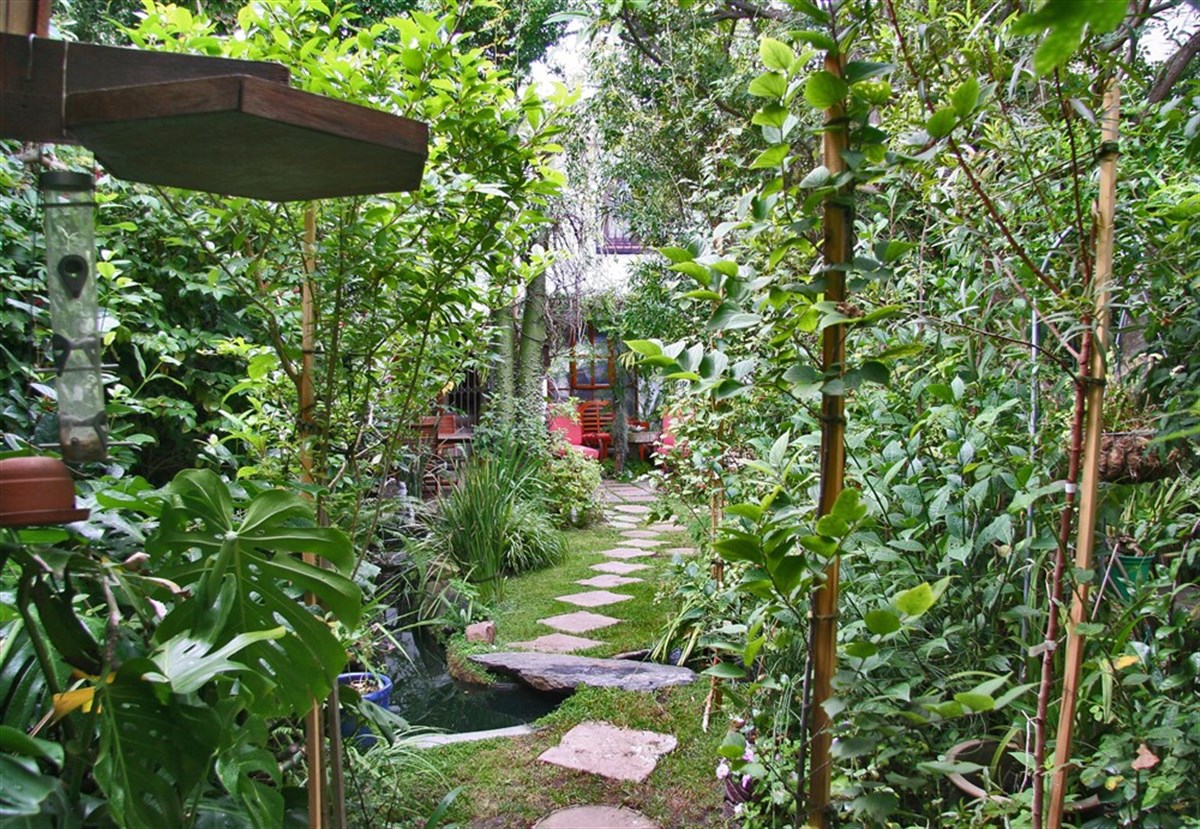 Jardim