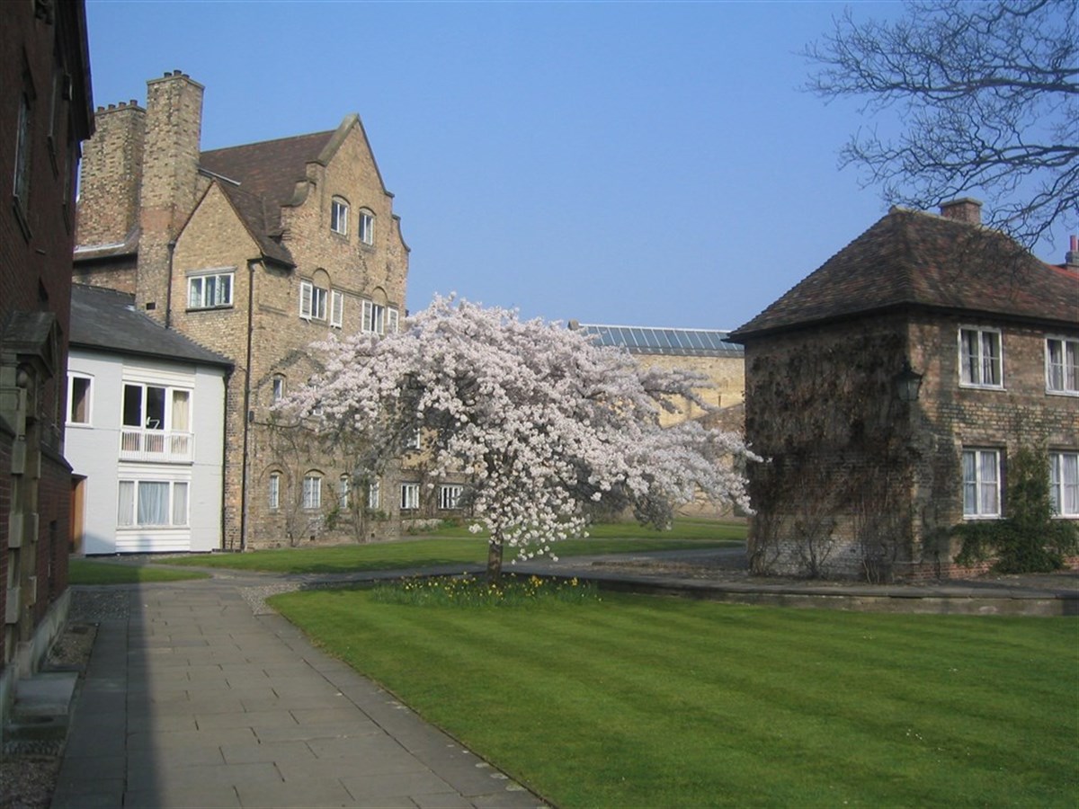 Benson Court