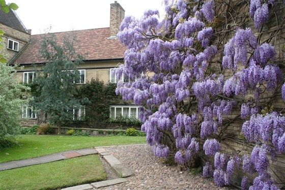 Mallory Court