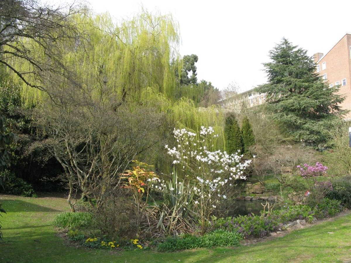 Mardon Hall, University of Exeter, University Residence | Best price ...