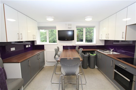 Cyncoed new kitchen