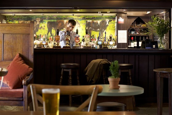 Bear Bar