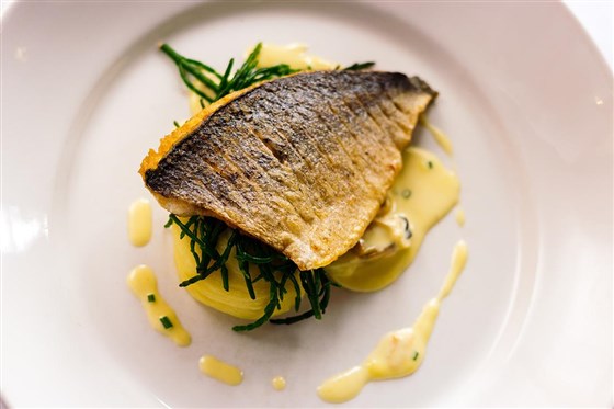 Modern British dishes