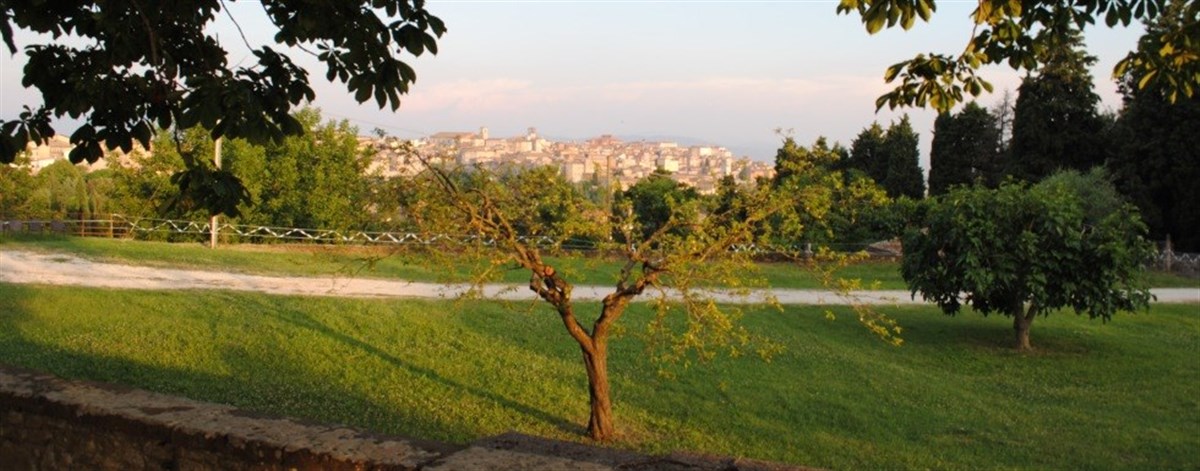 Dal Belvedere