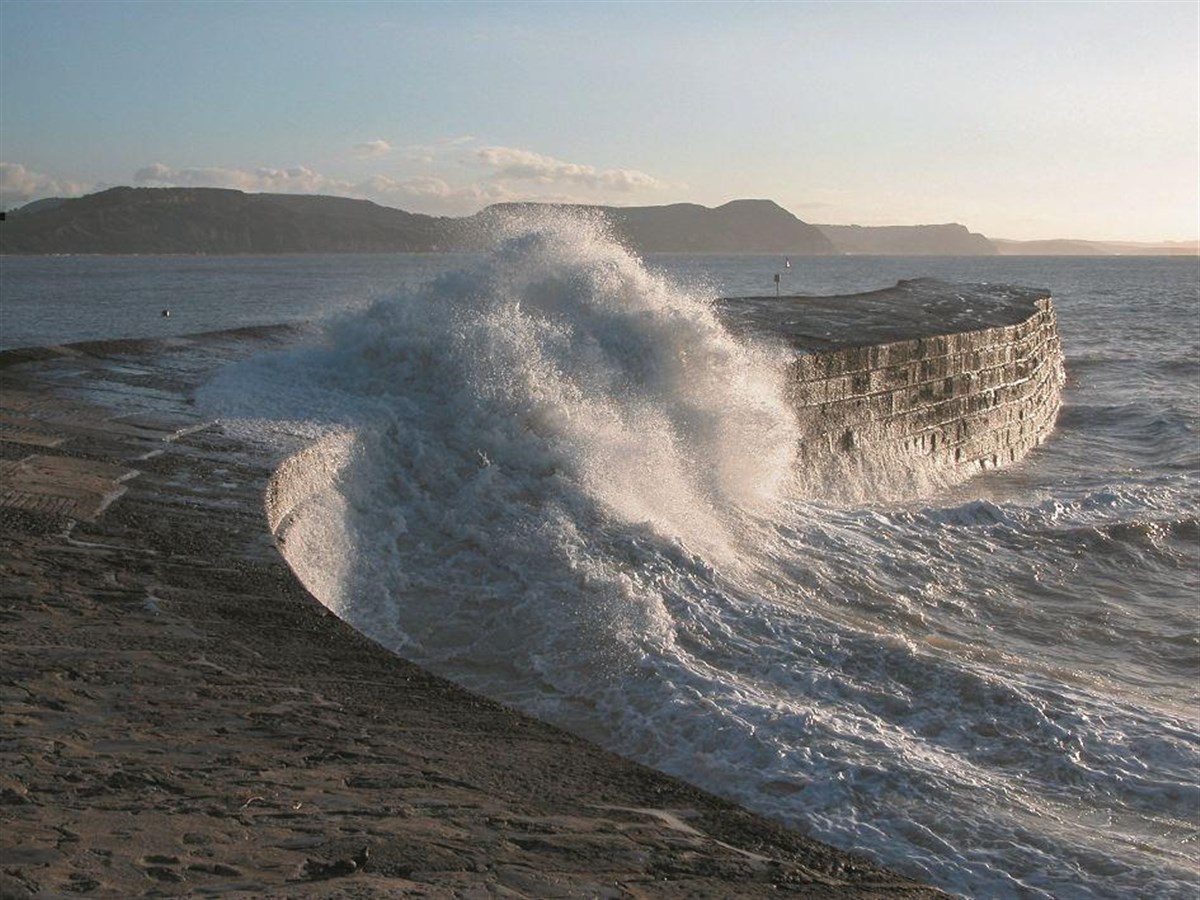 Lyme Regis Cobb Harbour wall