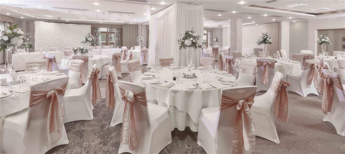 Wedding Reception 