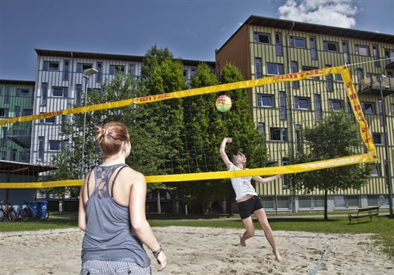 Beach-volley