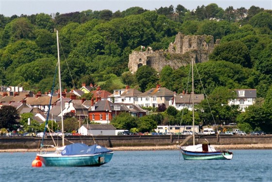 Murmelt, Swansea