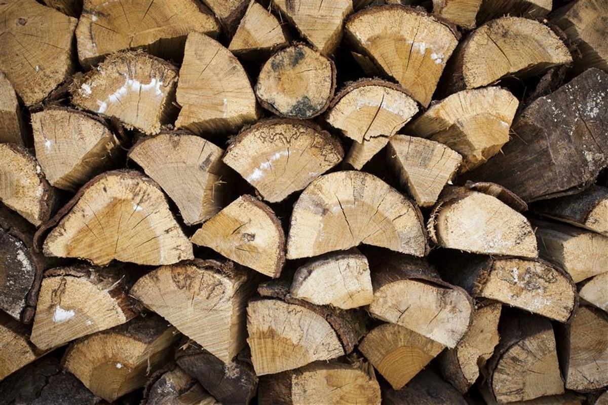 Logs