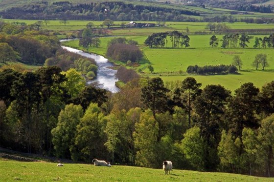 Hesleyside