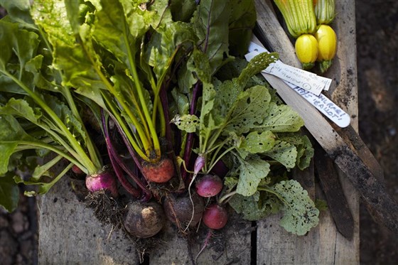 Kitchen Garden Produce