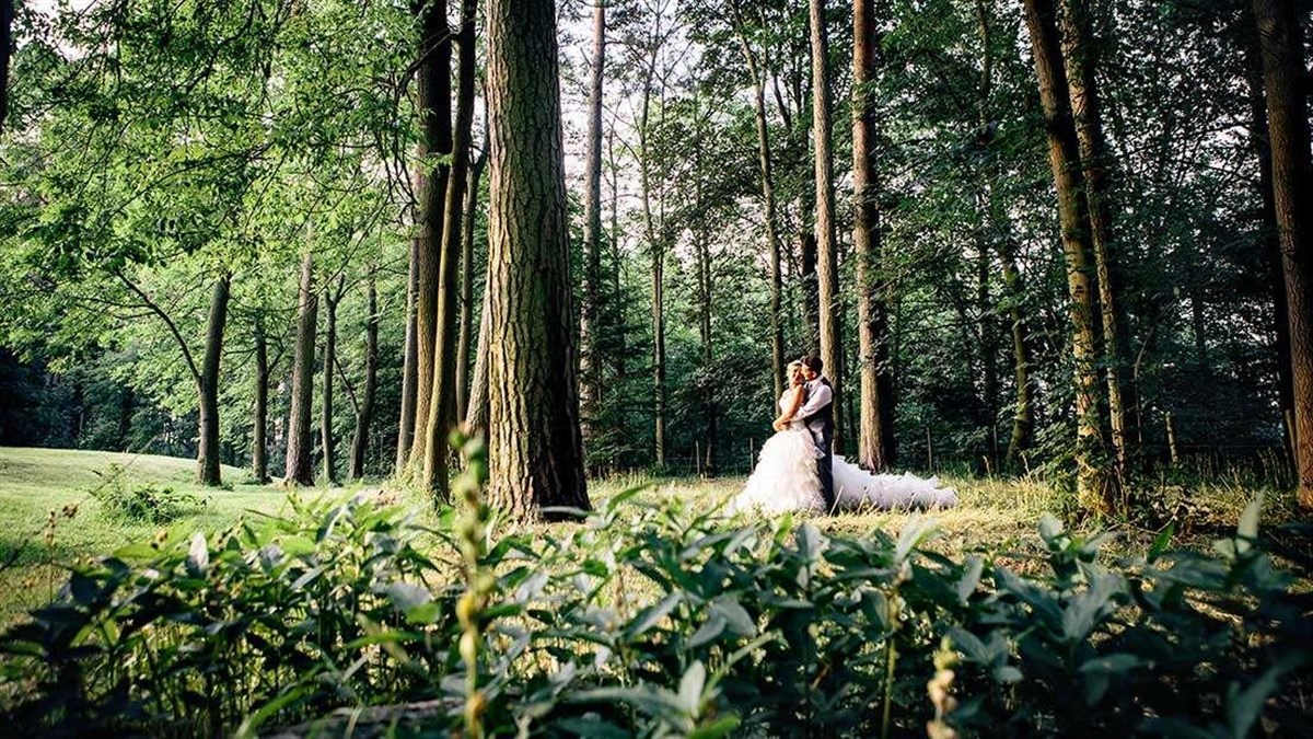 Newlyweds in the grounds (Phil-Smith-Photography)