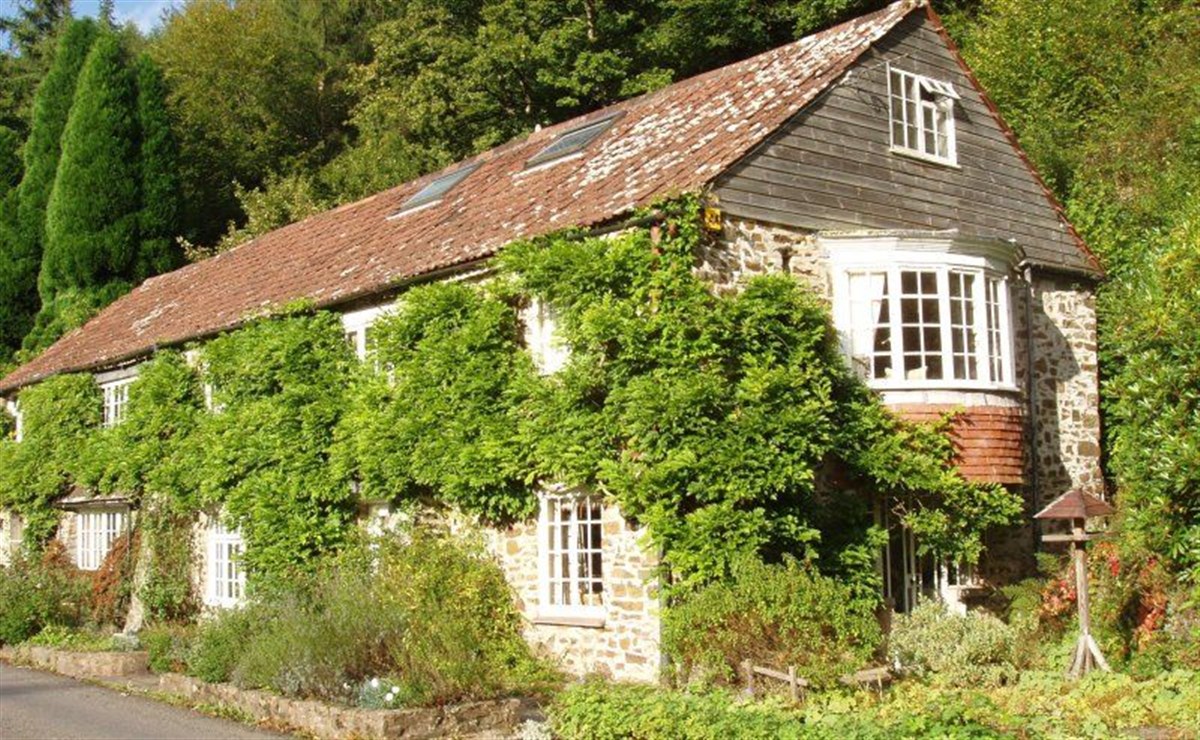 Summertime Bark House