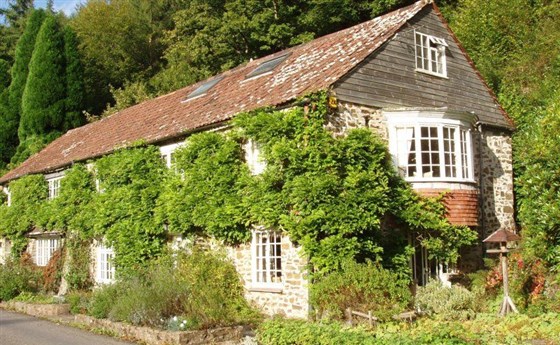 Summertime Bark House