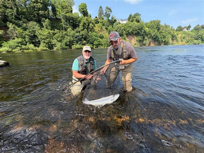 Pic 7B. Mr John Dturt lands a lovely deep bar of silver from Benchil