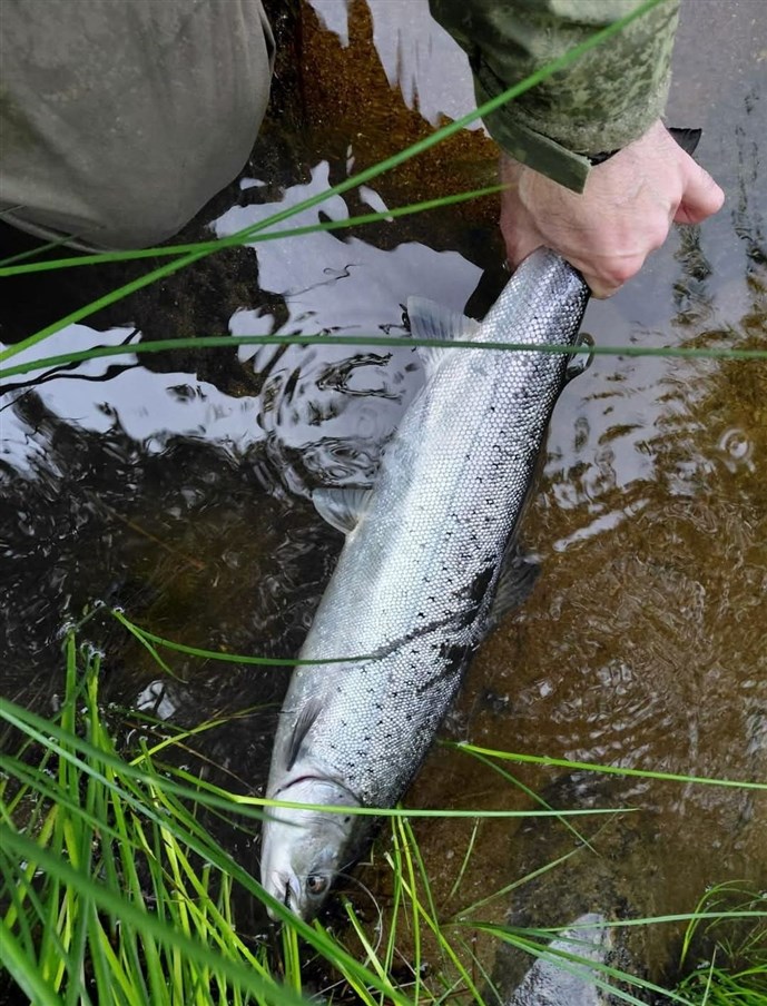 5 lb sea trout c Christopher
