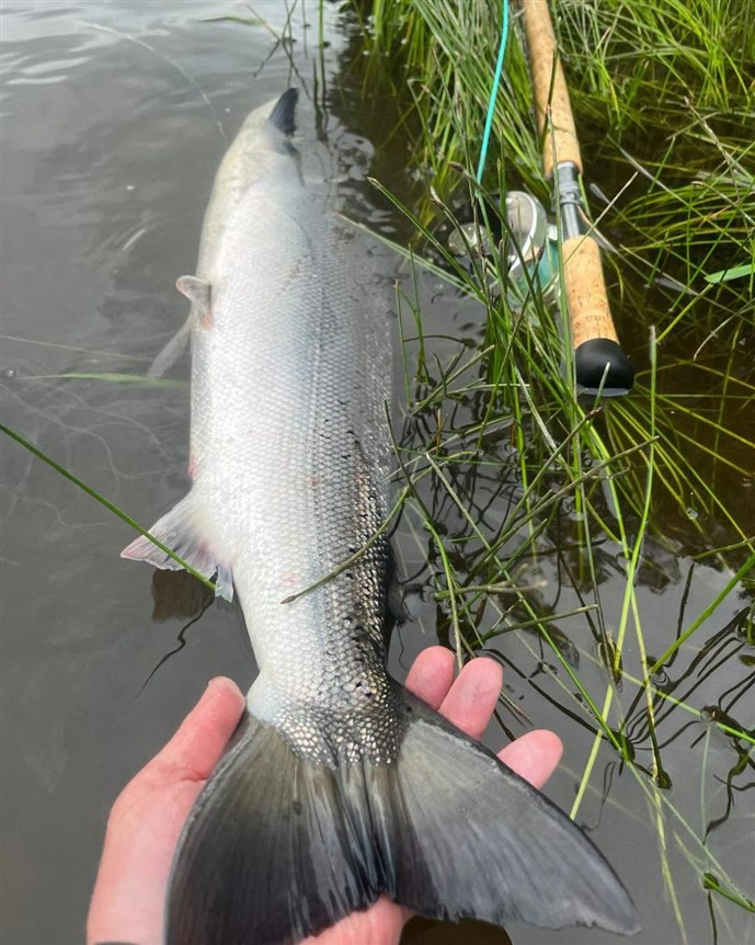7A.A lovely fish caught by Mr Gavin Mason at Cargill on Saturday
