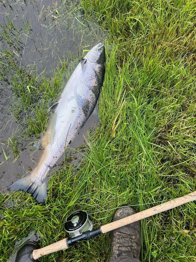 9.A Fishponds cracker caught on Monday!