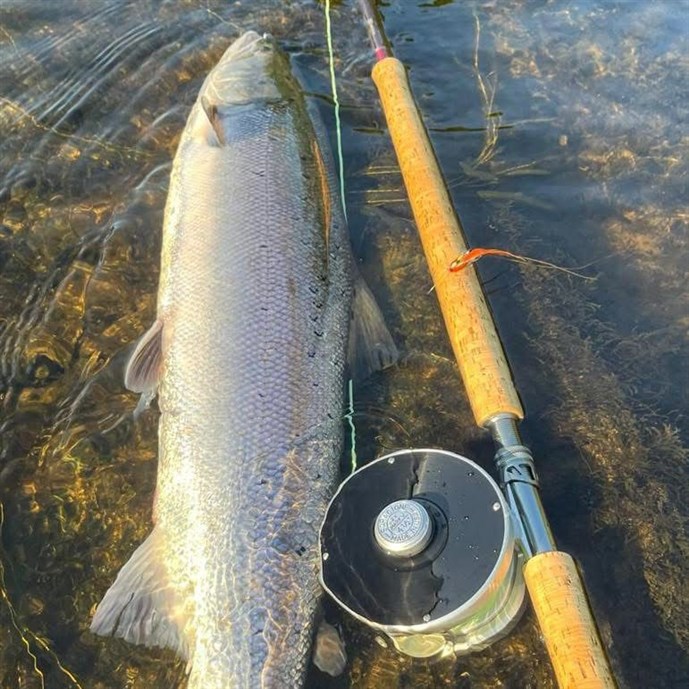 7.Mr Gavin Mason lands a Cargill cracker on Saturday!