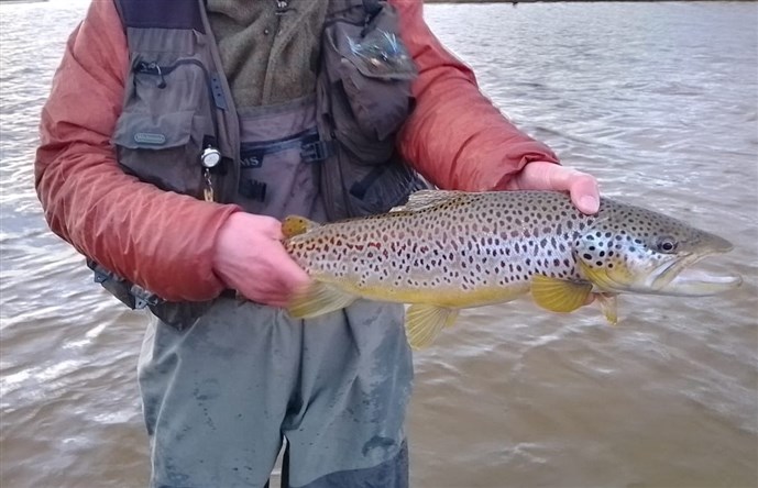 Joel Bamsey released this 5lb trout that he caught in a Lewis Estuary during March 25th.