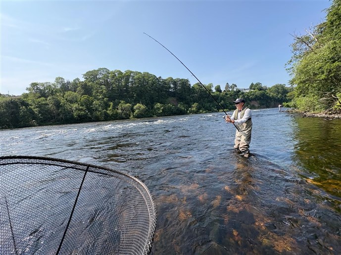Pic 7C. Mr Colin Lawson plays a lovely grilse in the Long Shot