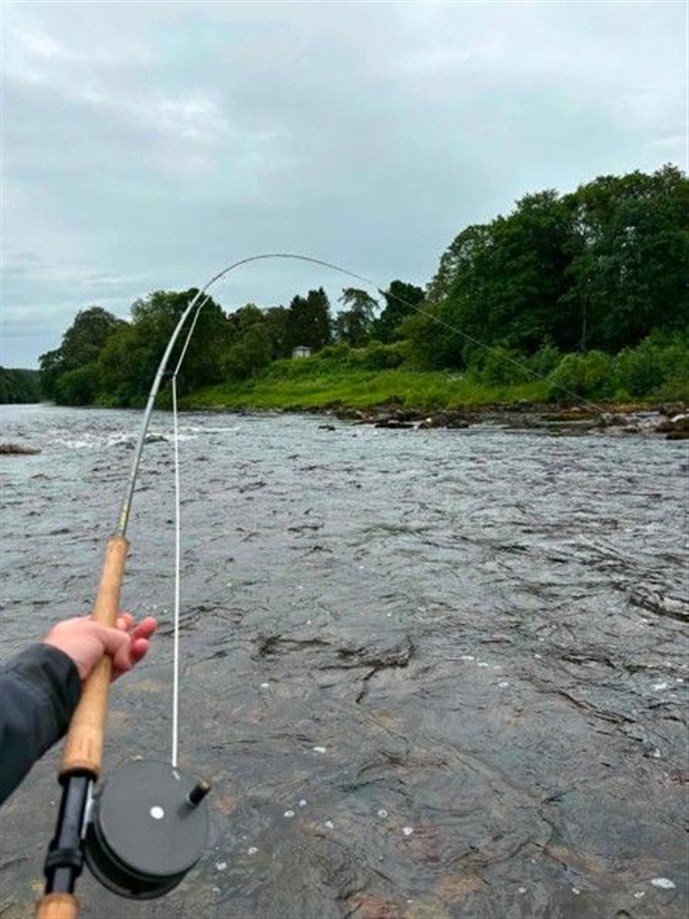 Bent rod and a singing reel at Banchory