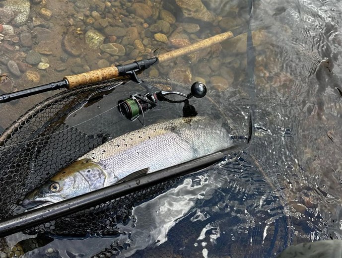 2.A lovely fish caught at Dunkeld on Tuesday