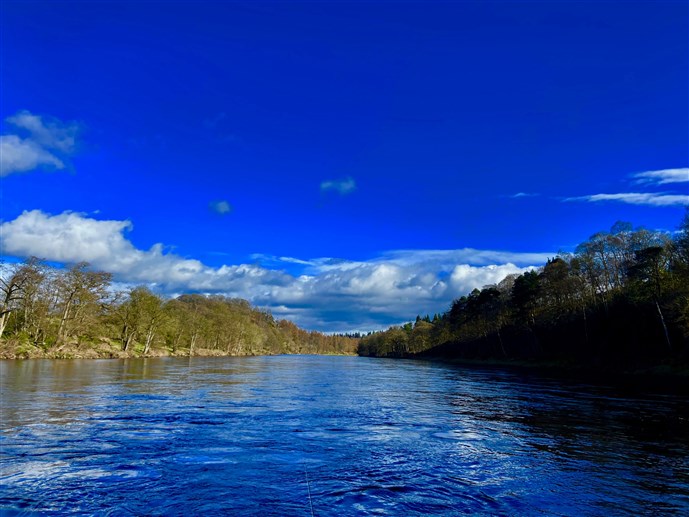 A beautiful spring scene on the middle Tay