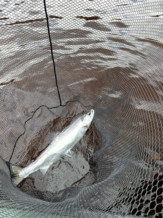 8.More success at Islamouth for Mr Angus Oughtred on Wednesday