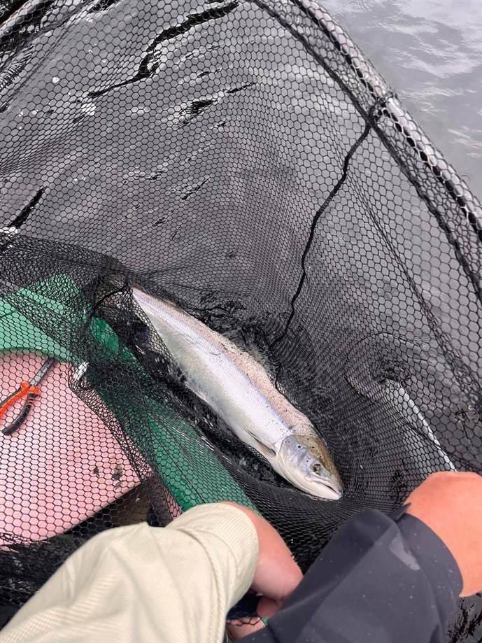 14.Sparkling Stobhall silver landed on Tuesday