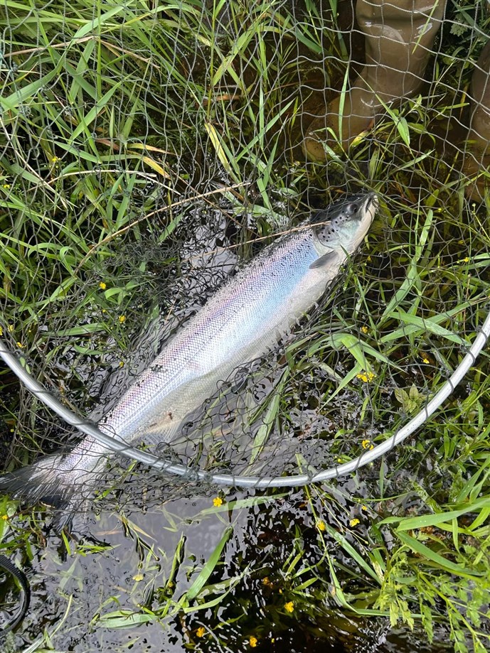 Steve Stainton fish