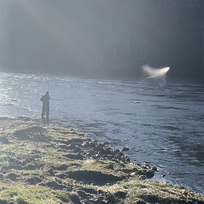 Casting a fly at Cargill last week