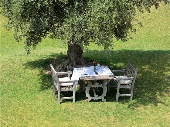 Mesa nos jardins 