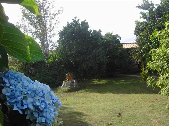 Jardim