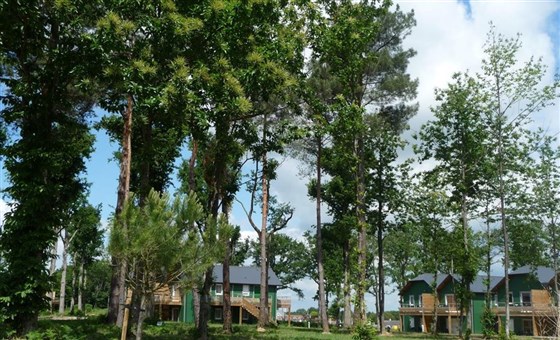 Relais du Plessis