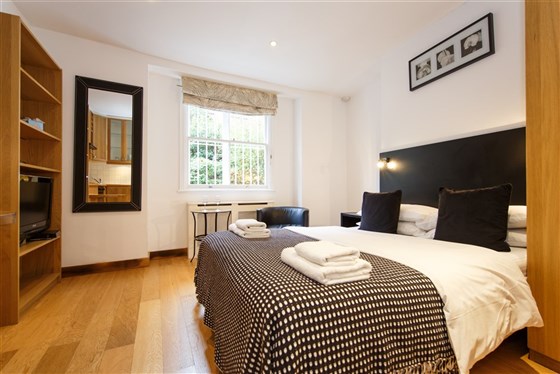 Ampio monolocale economico