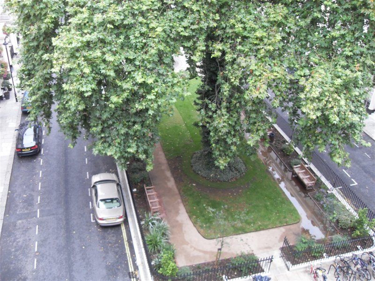 View from high floor