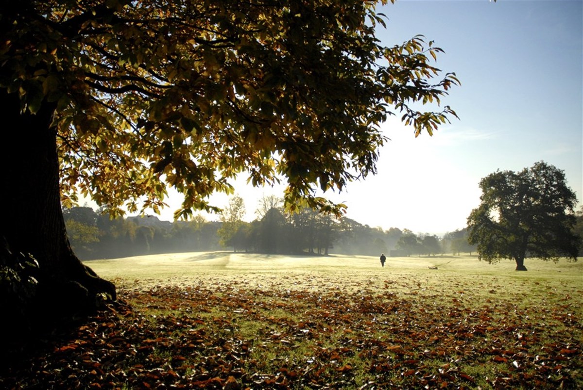 Singleton Park