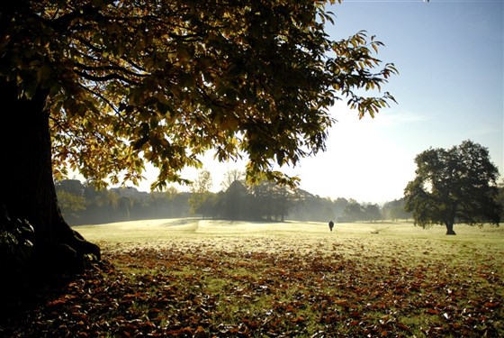 Singleton Park