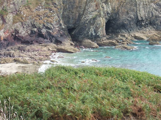 Deer Park near Maloes