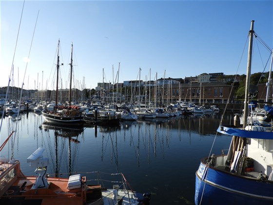 Milford Marina